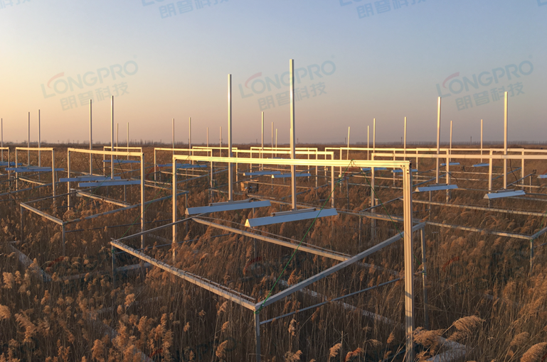 華東師范大學(xué)—植物增溫實(shí)驗